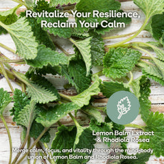 Nedley Health Calm label closeup shows natural ingredients for calm.