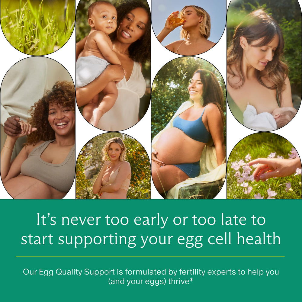 Needed Egg Quality Support third-party tested seal indicating quality and purity.