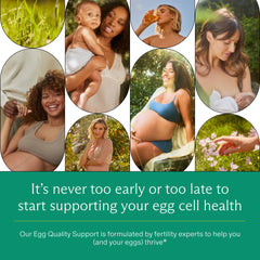 Needed Egg Quality Support third-party tested seal indicating quality and purity.