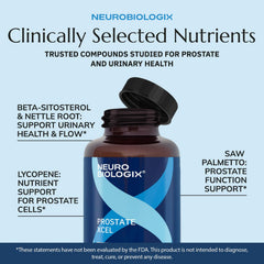 Visual of pumpkin seed extract linked to prostate health in Prostate Xcel.