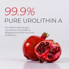 Neurogan Urolithin A powder mixed into juice for convenient consumption