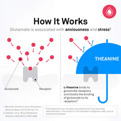 NeuroScience Travacor ingredients chart highlights L-Theanine, 5-HTP, and B vitamins.