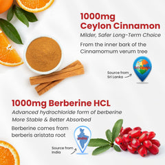 NEVISS Ceylon Cinnamon Berberine Gummies ingredients panel showing organic cinnamon.