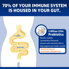 NEVISS energy metabolism gummies focus on nutrient-to-energy conversion