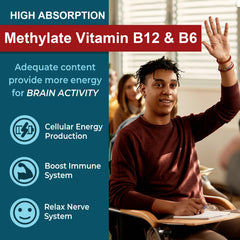 NEVISS Ginkgo Biloba leaf imagery suggests steady mental clarity benefits
