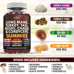 Close-up of NEW AGE Lion's Mane Gummies showing chewy texture for easy daily intake.