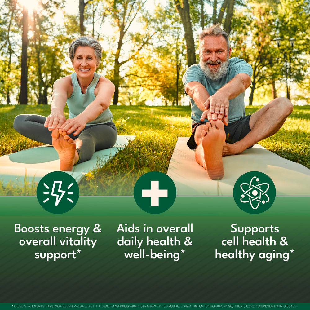 NEW AGE Oil of Oregano Drops botanical mix with oregano and black seed oil.