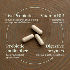 New Chapter All-Flora fermented Vitamin B12 bottle highlighting vitamin support.