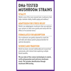 Daily dose capsules from New Chapter Reishi for routine use.