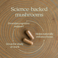 New Chapter reishi mushroom slices illustrating full-spectrum benefits