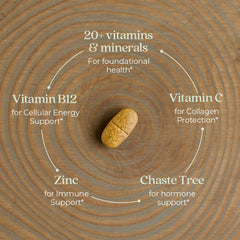 Diagram of fermented nutrients in New Chapter formula highlighting absorption benefits.