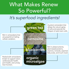 New Earth Renew ingredients collage featuring wild blueberry extract and green tea.