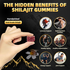 Newrish Shilajit Gummies with Manuka honey glow in glass jar
