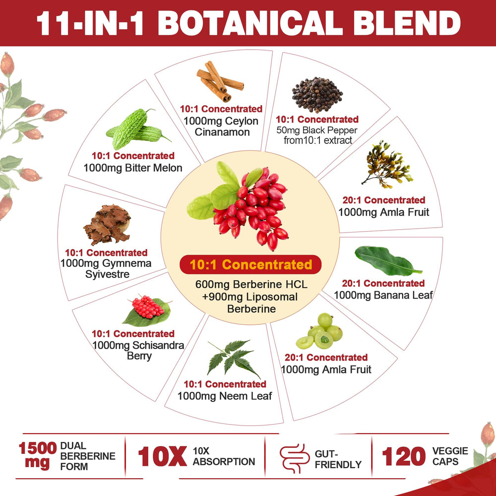 Nextdia berberine capsules close-up for easy daily supplementation