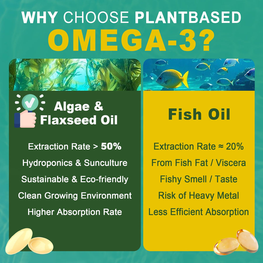 Nextdia eco-friendly packaging highlighting sustainable manufacturing.