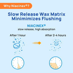 Niacinex minimal-flush tablet close-up for comfortable daily use.