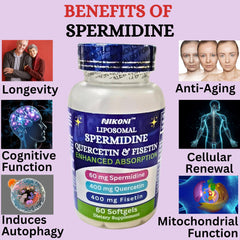 Nikoni ingredients close-up showing spermidine, quercetin, fisetin for antioxidant support.