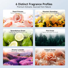 Nimin six-oil set vials offering diverse fragrance options