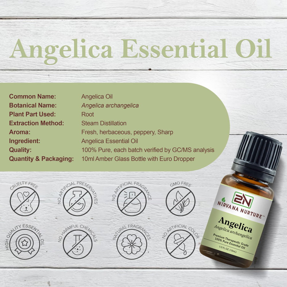 Nirvana Nurture Angelica Oil dropper bottle for easy application.