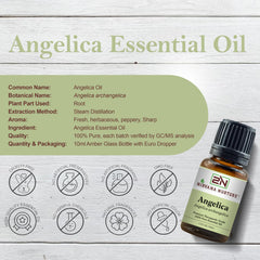 Nirvana Nurture Angelica Oil dropper bottle for easy application.