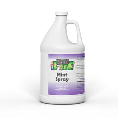 Nit Free Mint Head Lice Spray Refill bottle for seamless refills.