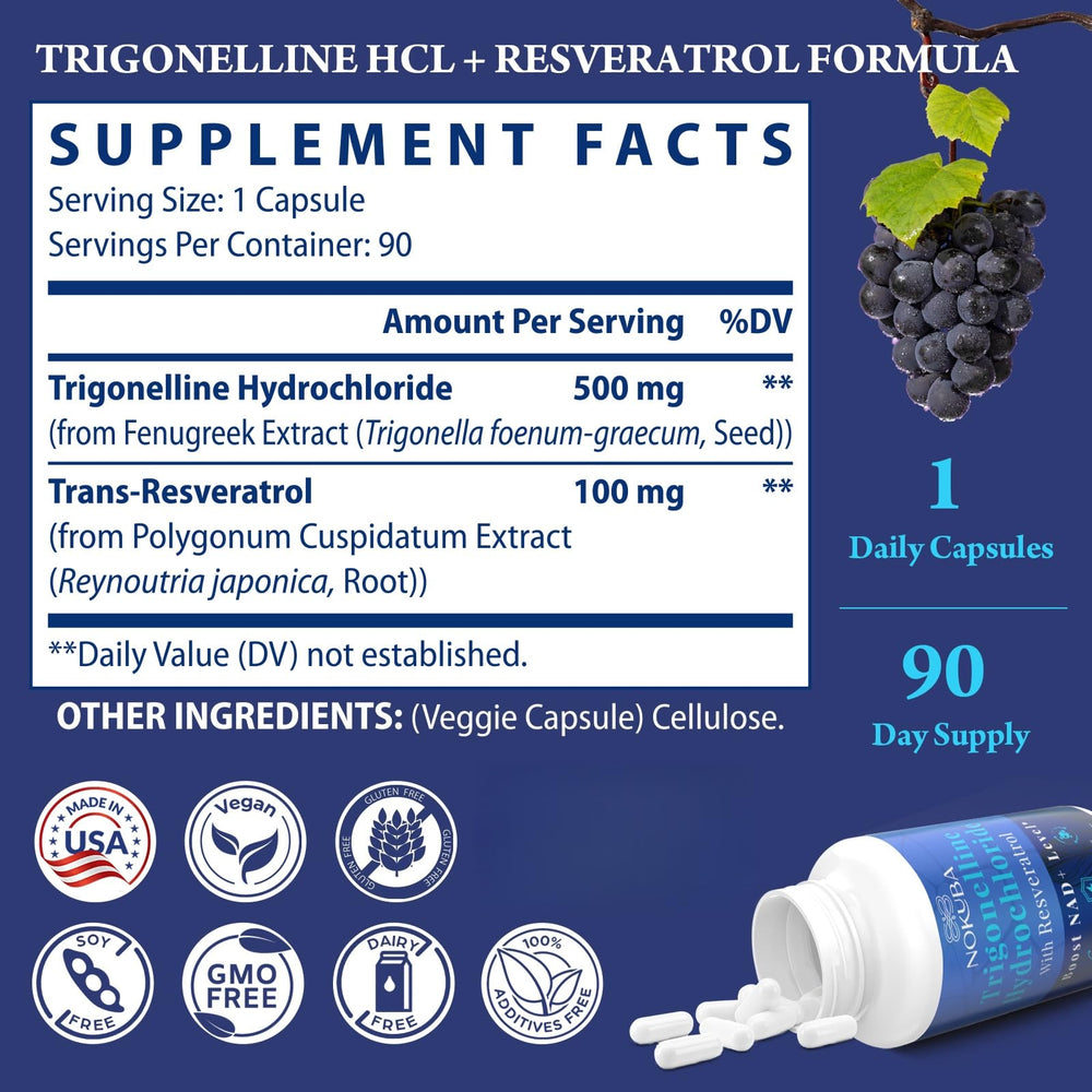 Nokuba NAD supplement energy concept graphic suggesting everyday stamina potential.