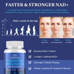 Nokuba NAD supplement label with ingredients and purity details for informed use.