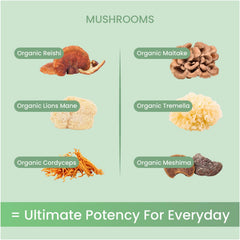 Label on Life Daily powder highlighting six organic mushrooms