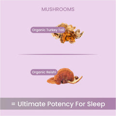Night-time tea ritual using Sleep Powder for a soothing routine.
