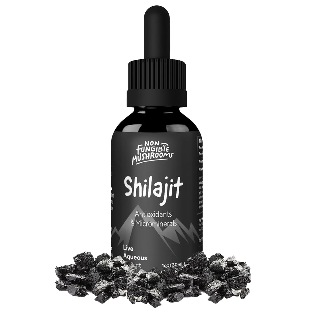 Non Fungible Mushrooms shilajit tincture bottle for daily vitality.