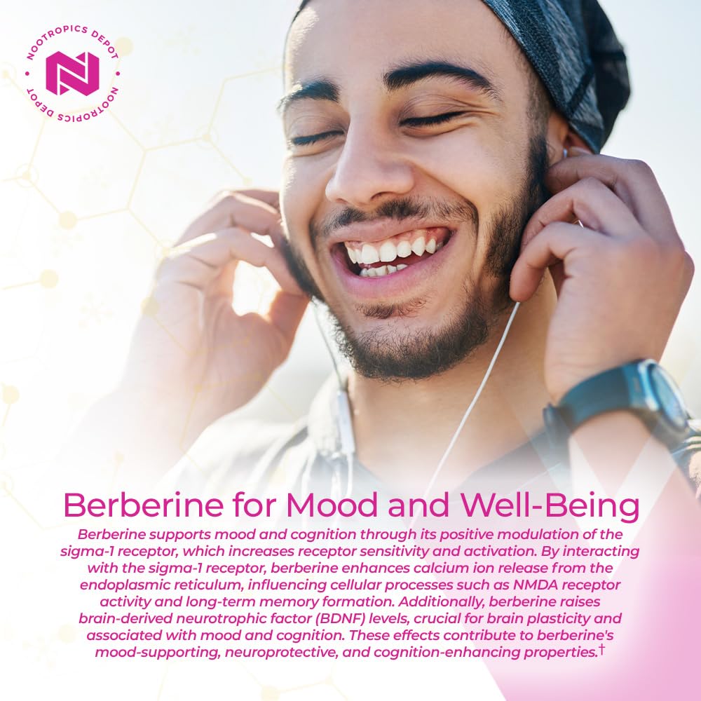 Nootropics Depot berberine-hcl-silymarin ingredients closeup for cellular function reference.