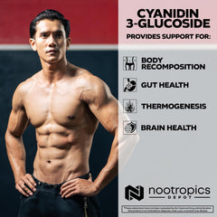 Nootropics Depot Black rice extract bottle packaging highlighting C3G source