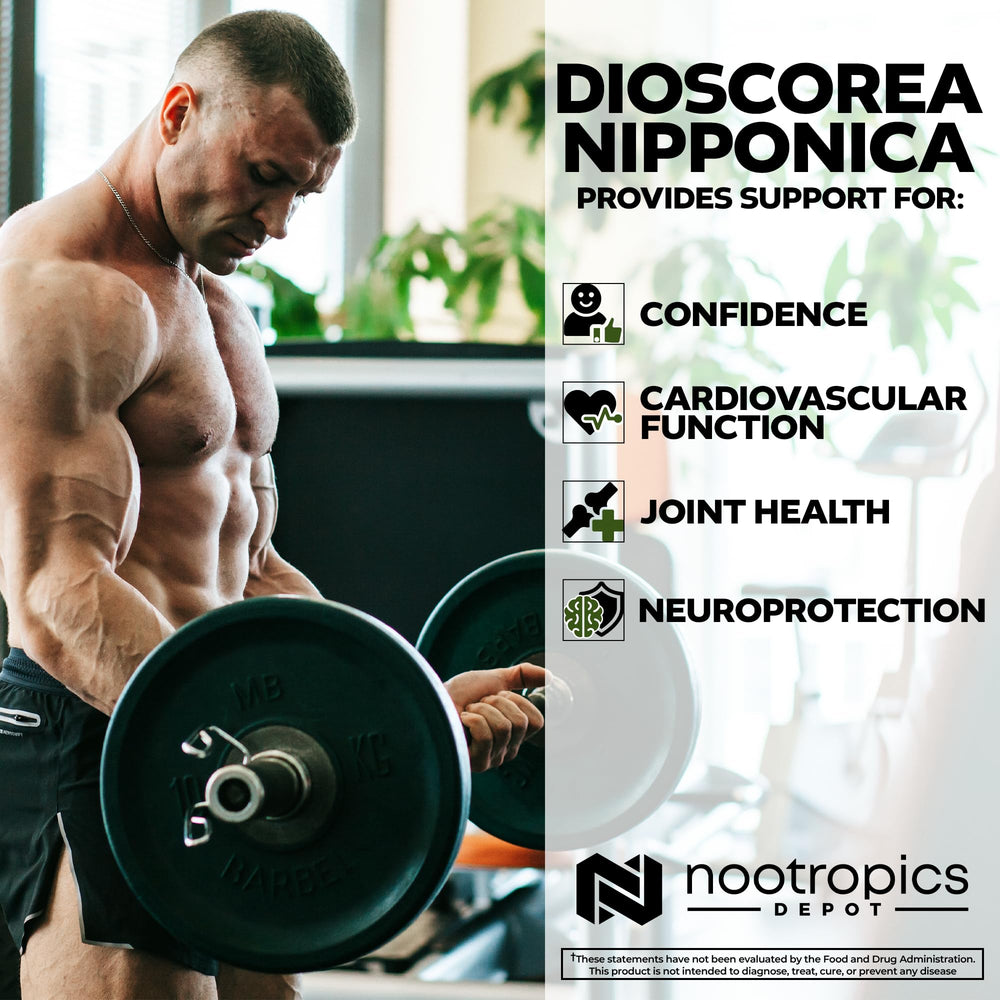 Bottle from Nootropics Depot on a shelf showcasing convenient daily capsules.