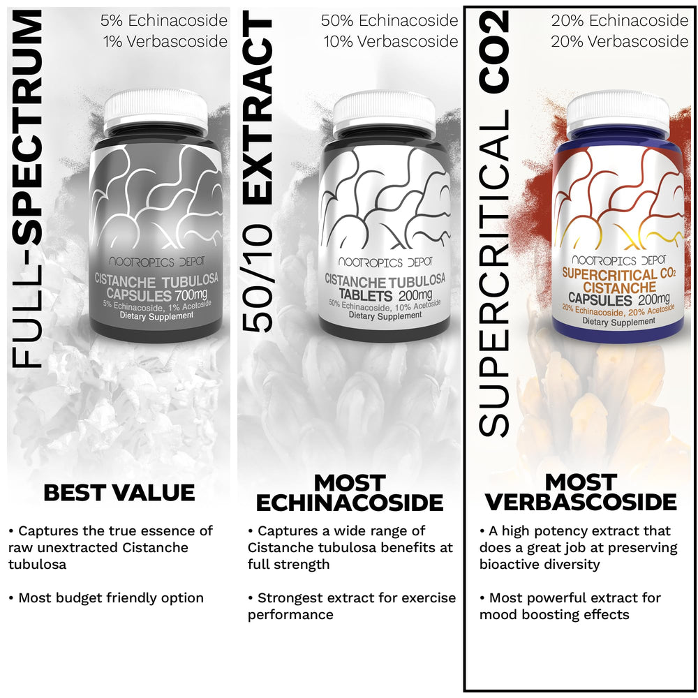 Daily-use scene with Cistanche capsules from Nootropics Depot for routine integration.