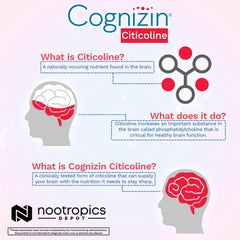 Branded Cognizin box and glass bottle on display for quality and consistency.