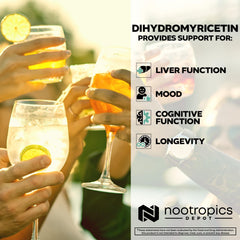 Nootropics Depot DHM bottle on a desk for easy daily intake