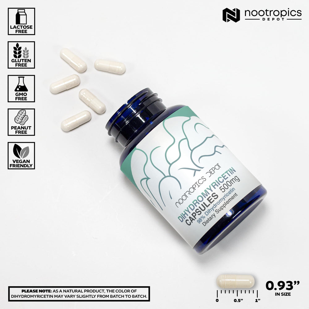 Pouring Nootropics Depot DHM capsules into a glass for daily cognitive support