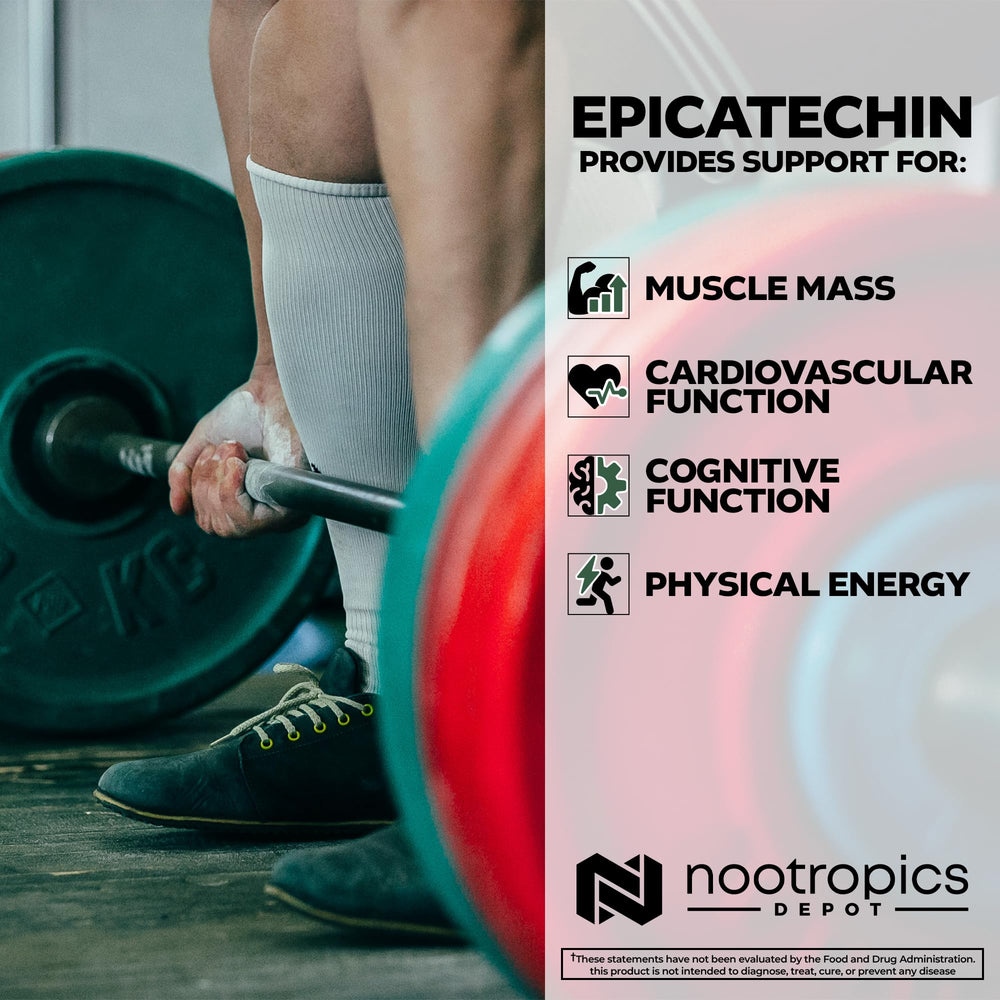 Nootropics Depot Epicatechin tablets packaging box presents a science-backed supplement for cardiovascular support.