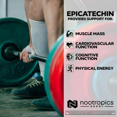 Nootropics Depot Epicatechin tablets packaging box presents a science-backed supplement for cardiovascular support.