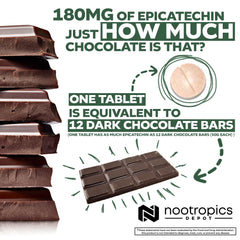 Nootropics Depot Epicatechin tablets serving spoon illustrates convenient daily dosing.