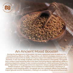 Nootropics Depot fenugreek extract capsules close-up of capsules for easy swallowing
