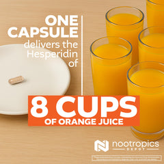 Nootropics Depot hesperidin capsules bottle with water suggesting easy daily intake routine.