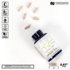 Nootropics Depot hesperidin capsules capsule close-up showing smooth texture for reliable daily use.