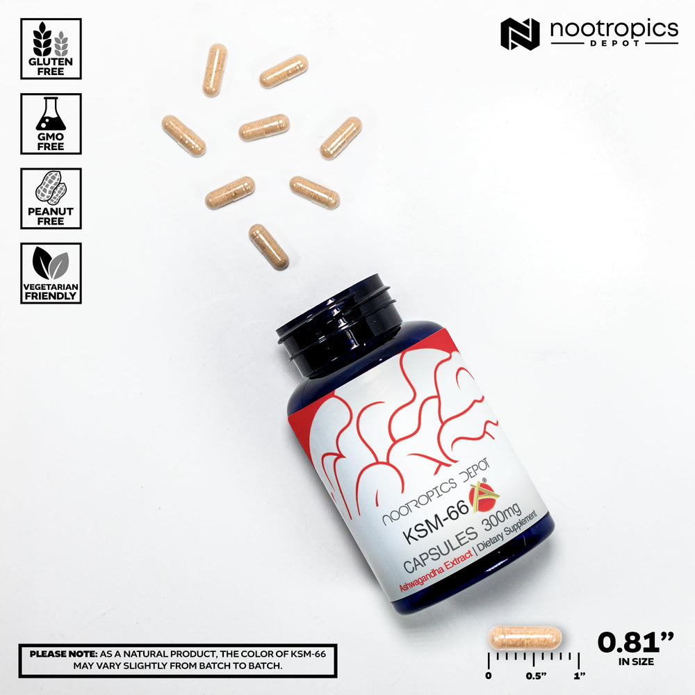 Nootropics Depot KSM-66 label close-up highlighting purity and quality.