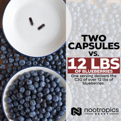 Nootropics Depot Lab-tested seal on bottle ensures quality