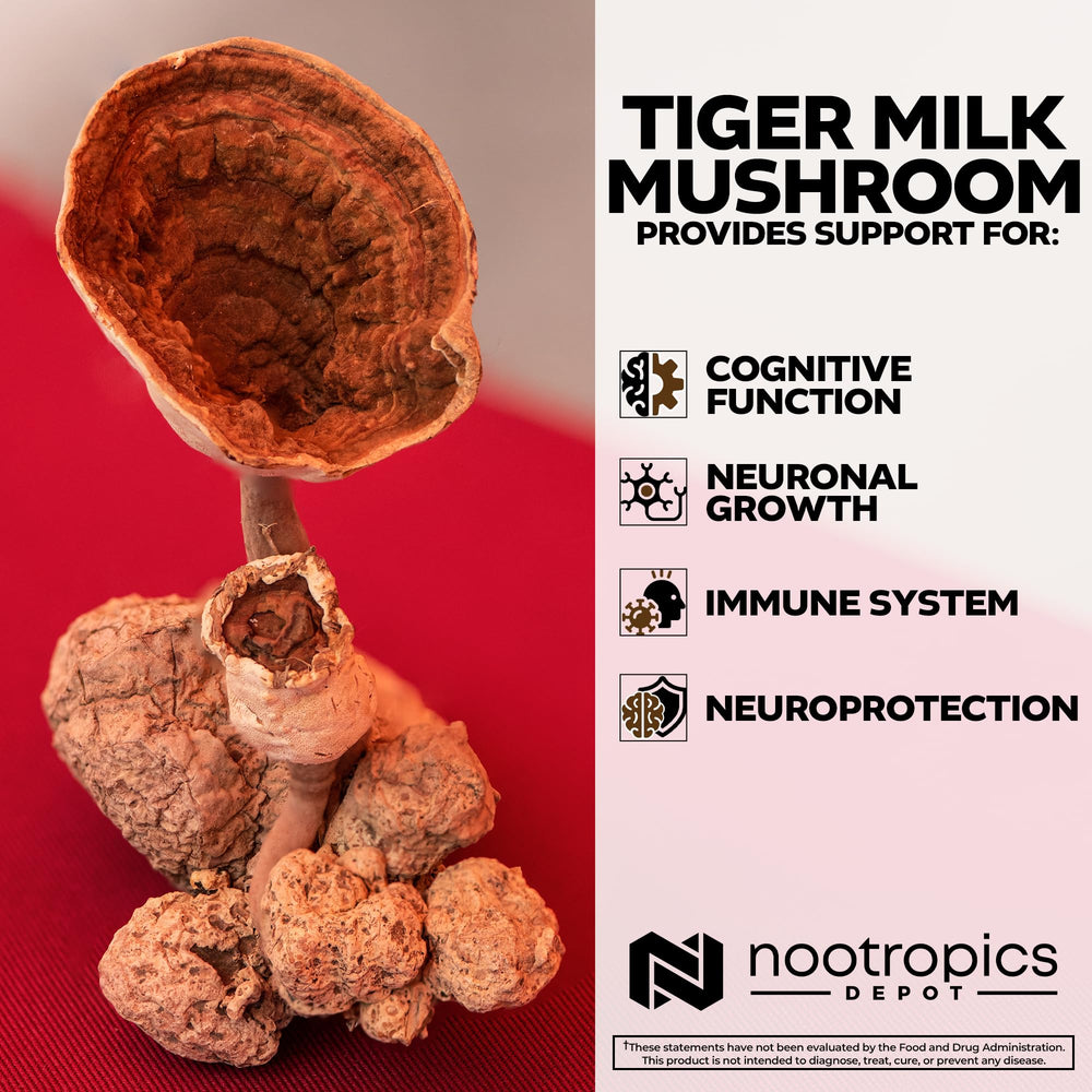 Lab-tested seal on Nootropics Depot Tiger Milk Mushroom packaging.