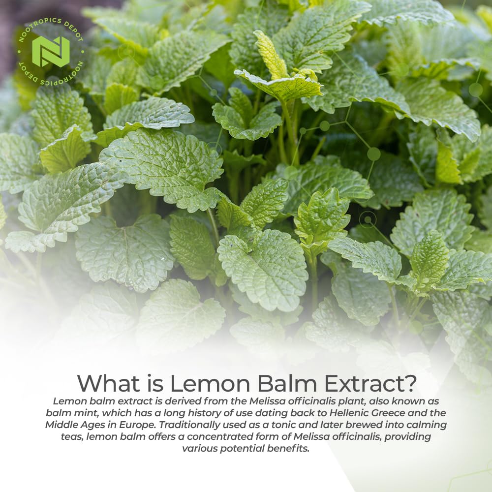Nootropics Depot Lemon Balm Extract packaging features a 10:1 extract potency visual.
