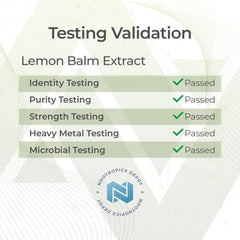 Nootropics Depot Lemon Balm Extract bottle in a travel-friendly setup suggests on-the-go wellness.
