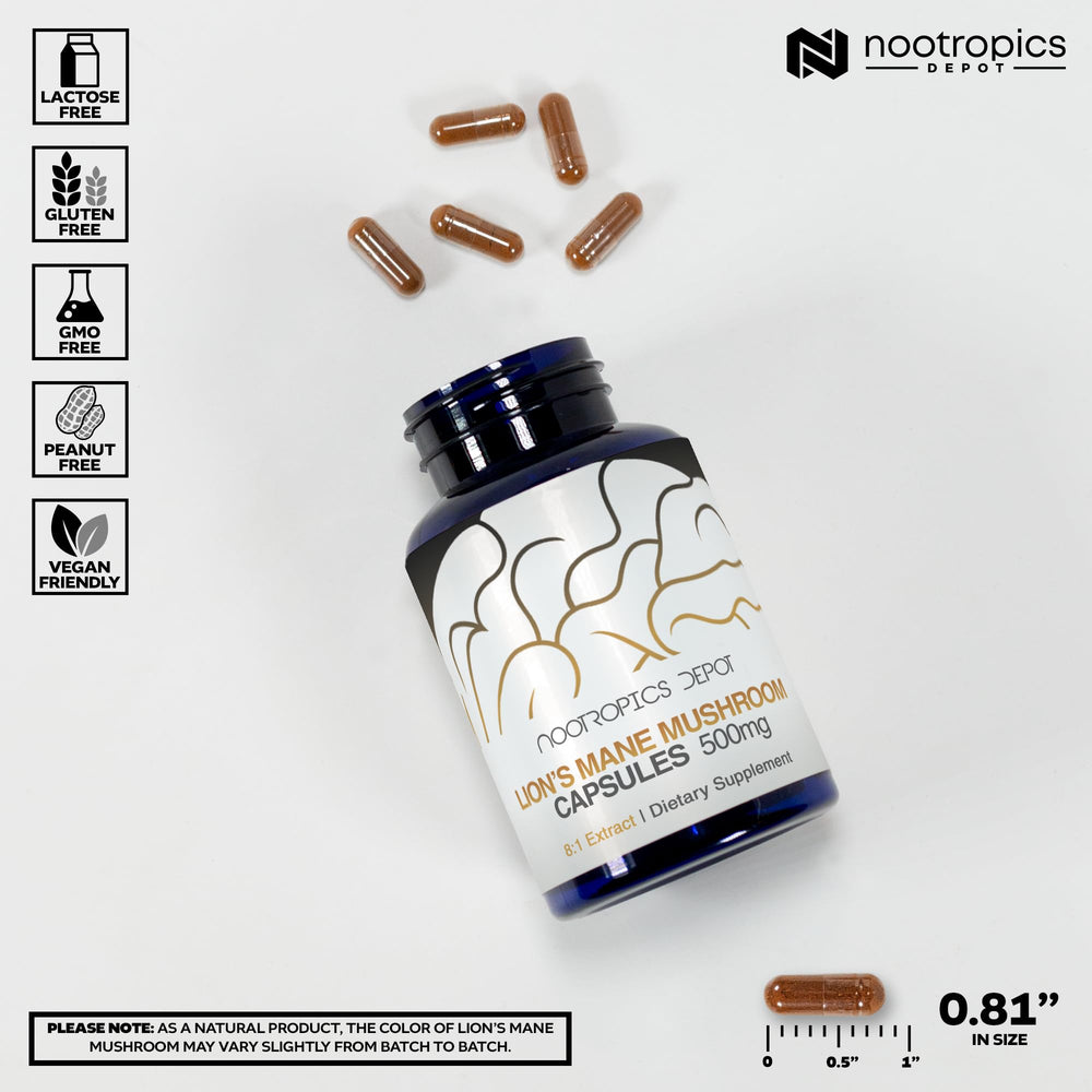 Nootropics Depot Lions Mane capsules with 500 mg strength