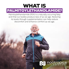 Nootropics Depot micronized particle detail emphasizing enhanced bioavailability.